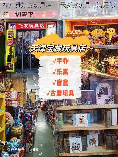 榨汁雅婷的玩具店——最新款玩具，满足你的一切需求