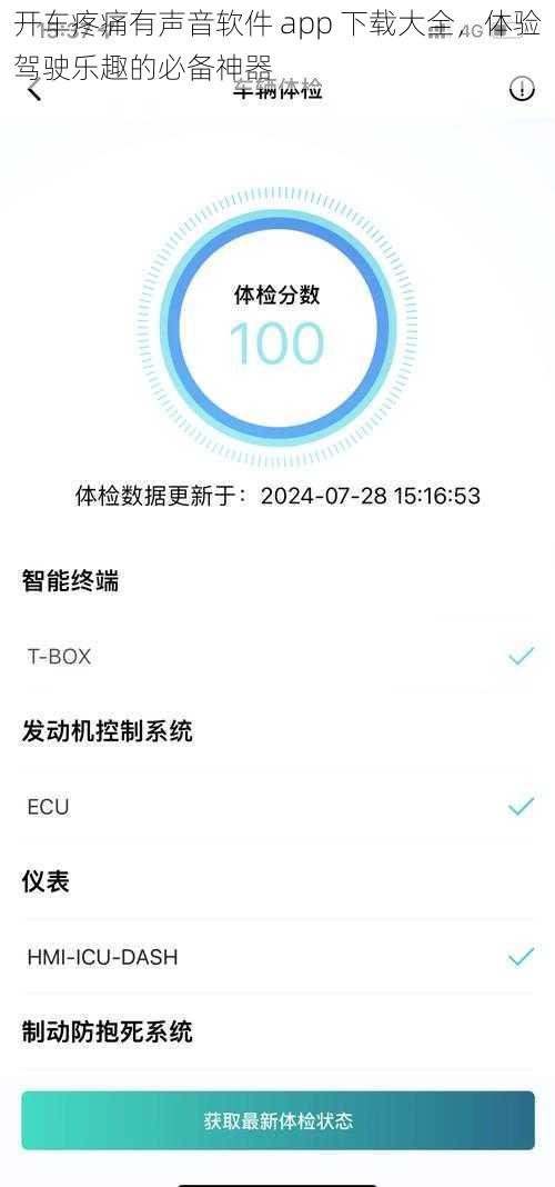 开车疼痛有声音软件 app 下载大全，体验驾驶乐趣的必备神器