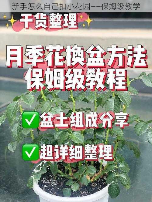 新手怎么自己扣小花园——保姆级教学