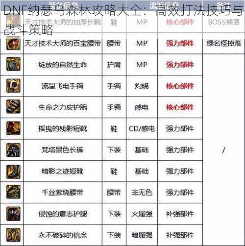 DNF纳瑟乌森林攻略大全：高效打法技巧与战斗策略