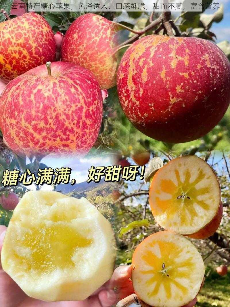 云南特产糖心苹果，色泽诱人，口感酥脆，甜而不腻，富含营养