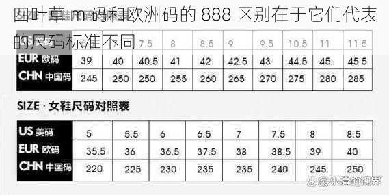 四叶草 m 码和欧洲码的 888 区别在于它们代表的尺码标准不同