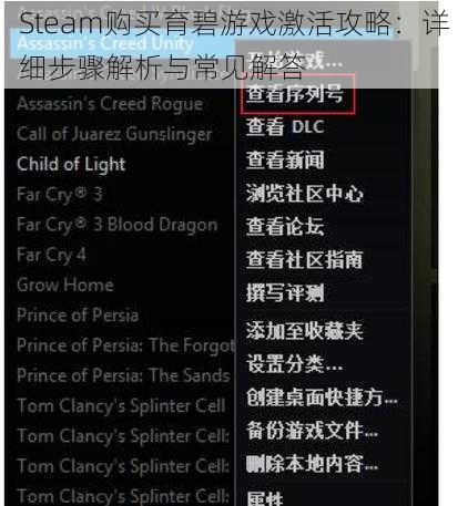 Steam购买育碧游戏激活攻略：详细步骤解析与常见解答