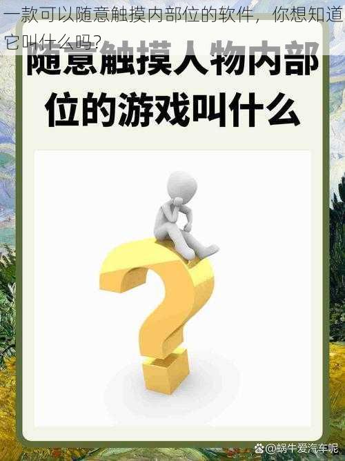 一款可以随意触摸内部位的软件，你想知道它叫什么吗？