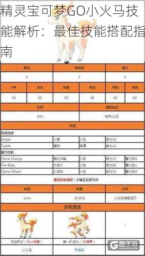 精灵宝可梦GO小火马技能解析：最佳技能搭配指南