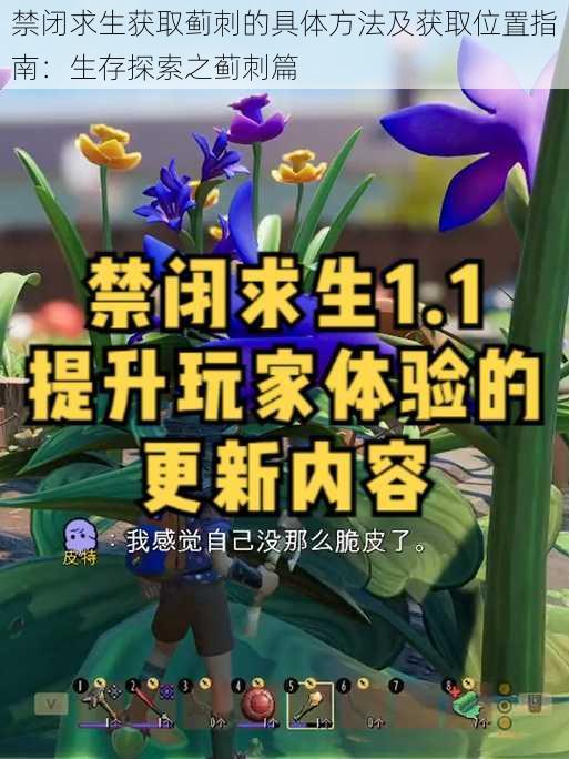 禁闭求生获取蓟刺的具体方法及获取位置指南：生存探索之蓟刺篇