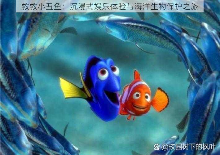 救救小丑鱼：沉浸式娱乐体验与海洋生物保护之旅