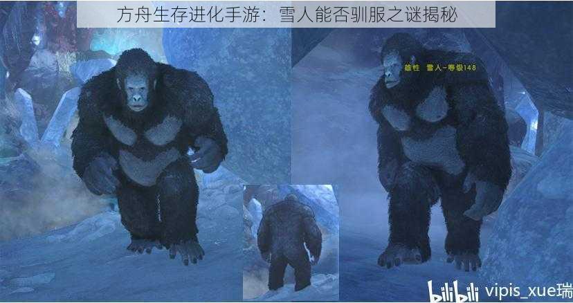 方舟生存进化手游：雪人能否驯服之谜揭秘