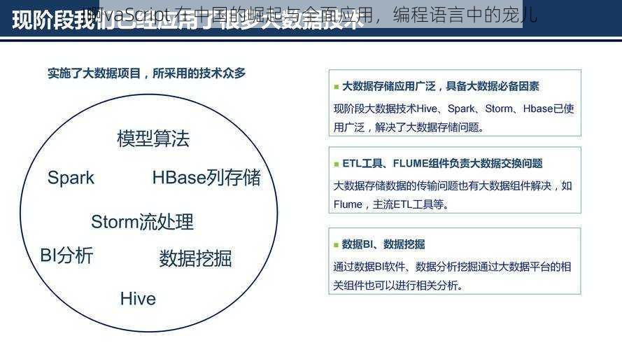 J啊vaScript 在中国的崛起与全面应用，编程语言中的宠儿