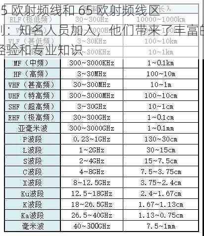 75 欧射频线和 65 欧射频线区别：知名人员加入，他们带来了丰富的经验和专业知识