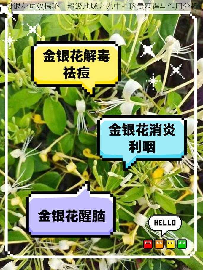 金银花功效揭秘：超级地城之光中的珍贵获得与作用分析